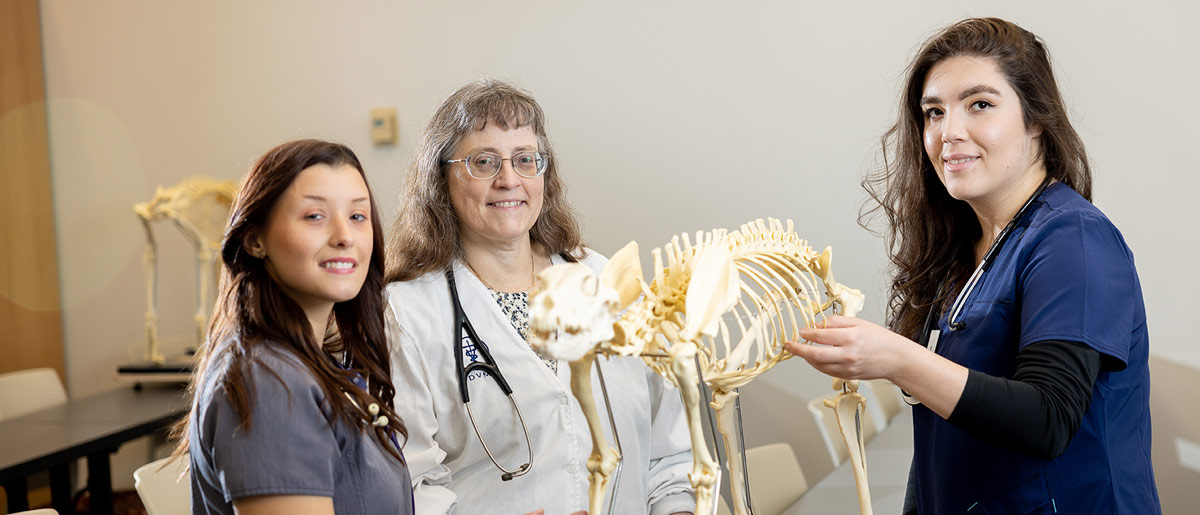 Veterinary Assisting Program MatSu College