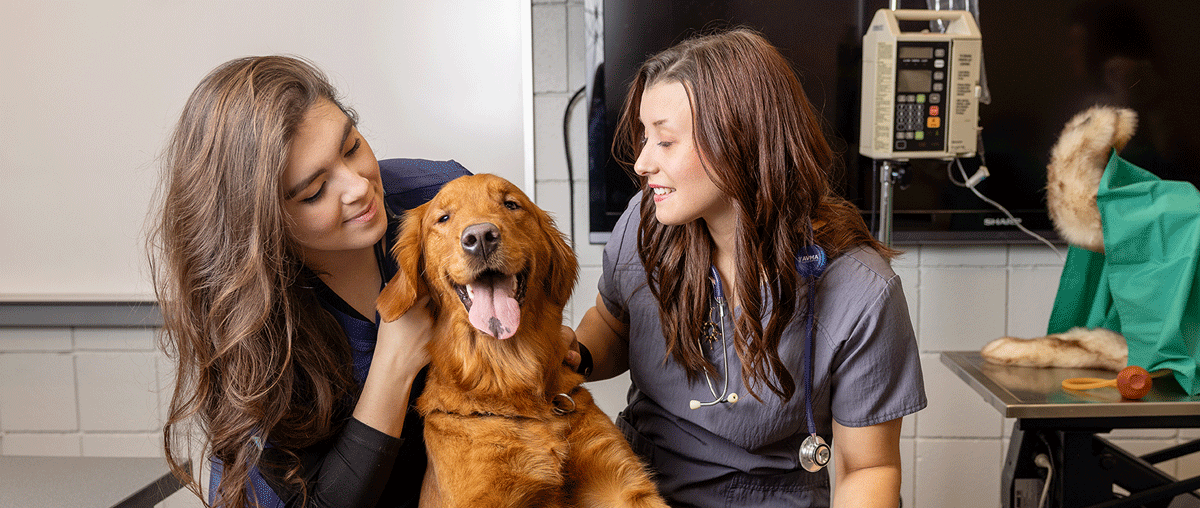 Vet Technology students in class with a dog.